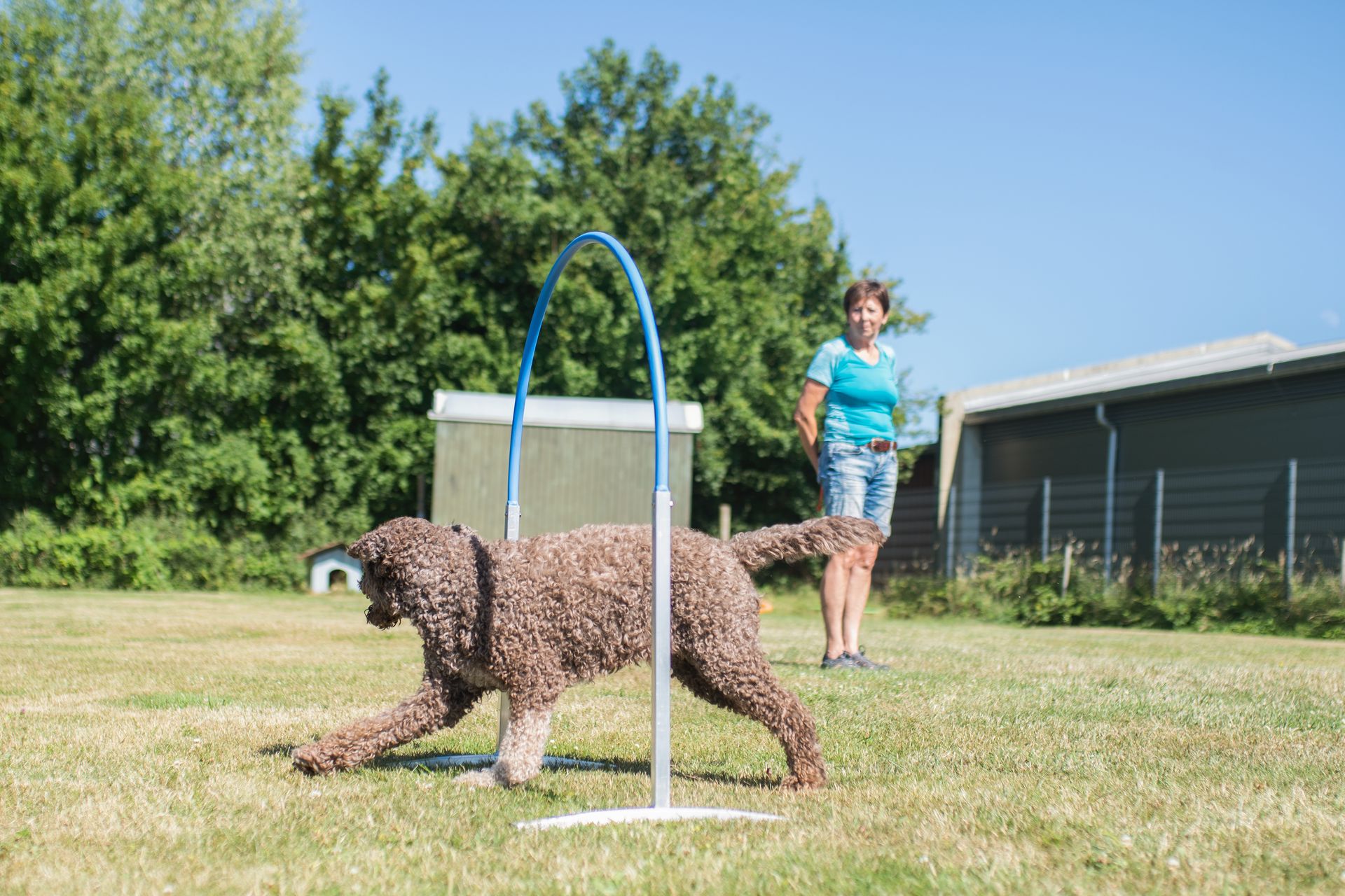 Frau mit ihrem Hund im Hoopers Parcours, Hund rennt durch einen Hoop