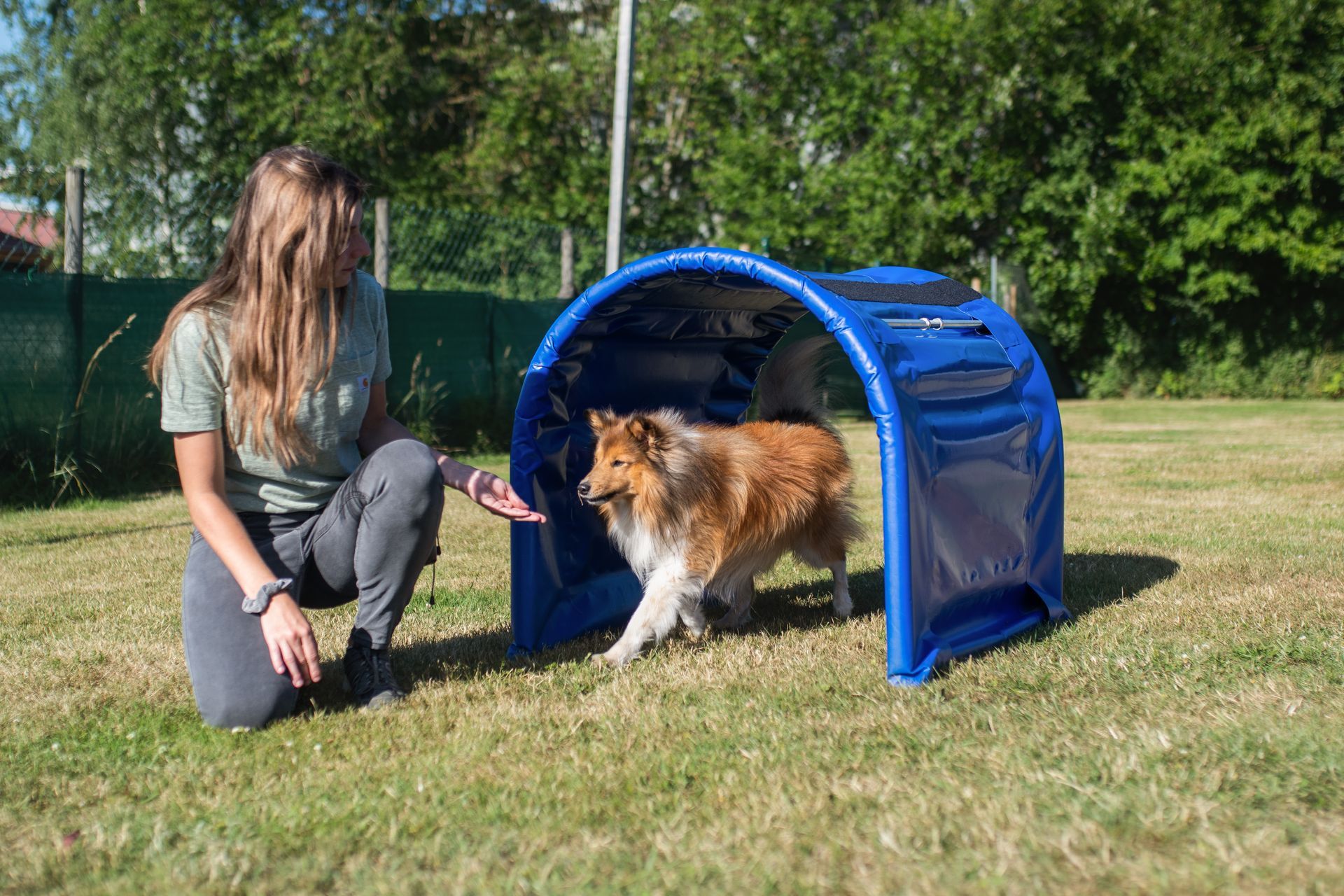 Frau mit ihrem Hund im Hoopers Parcours, Hund rennt durch einen Tunnel