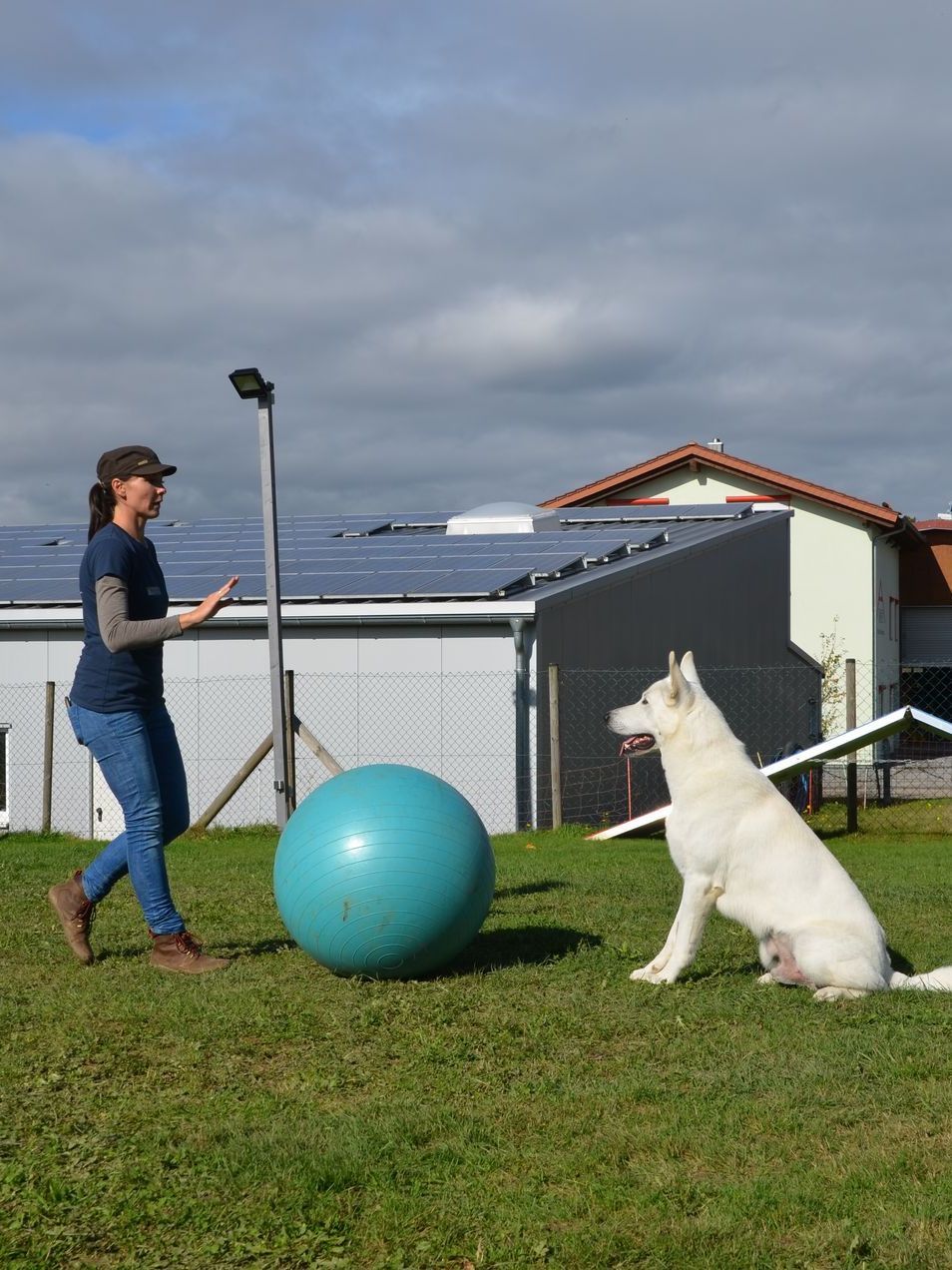 Ramona Houscht und Schäferhund Jimmy bei einer Treibball Übung