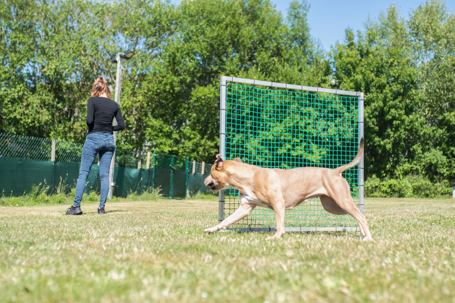 Frau mit ihrem Hund im Hoopers Parcours, Hund rennt um ein Gate