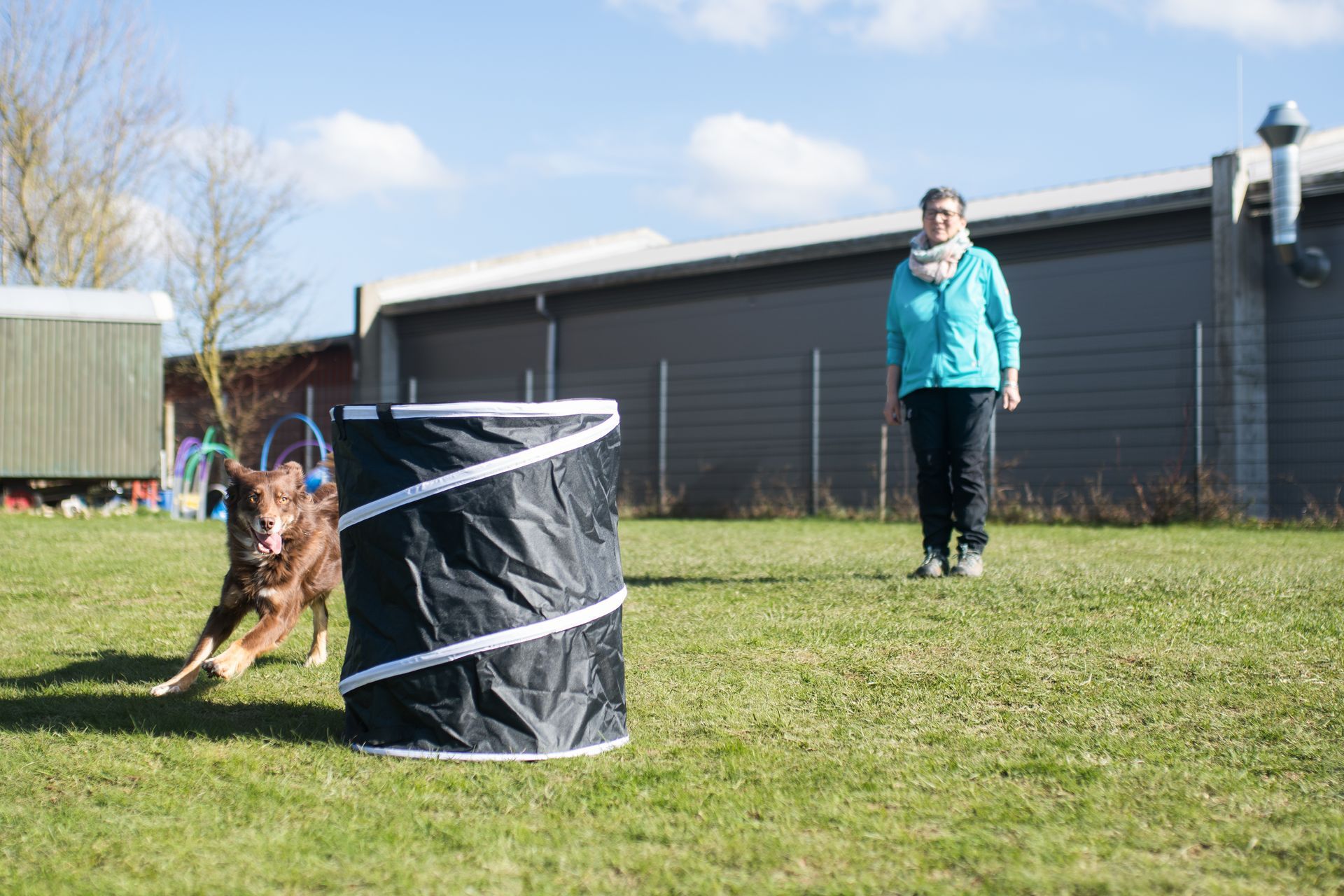 Hund rennt um Hoopers Tonne