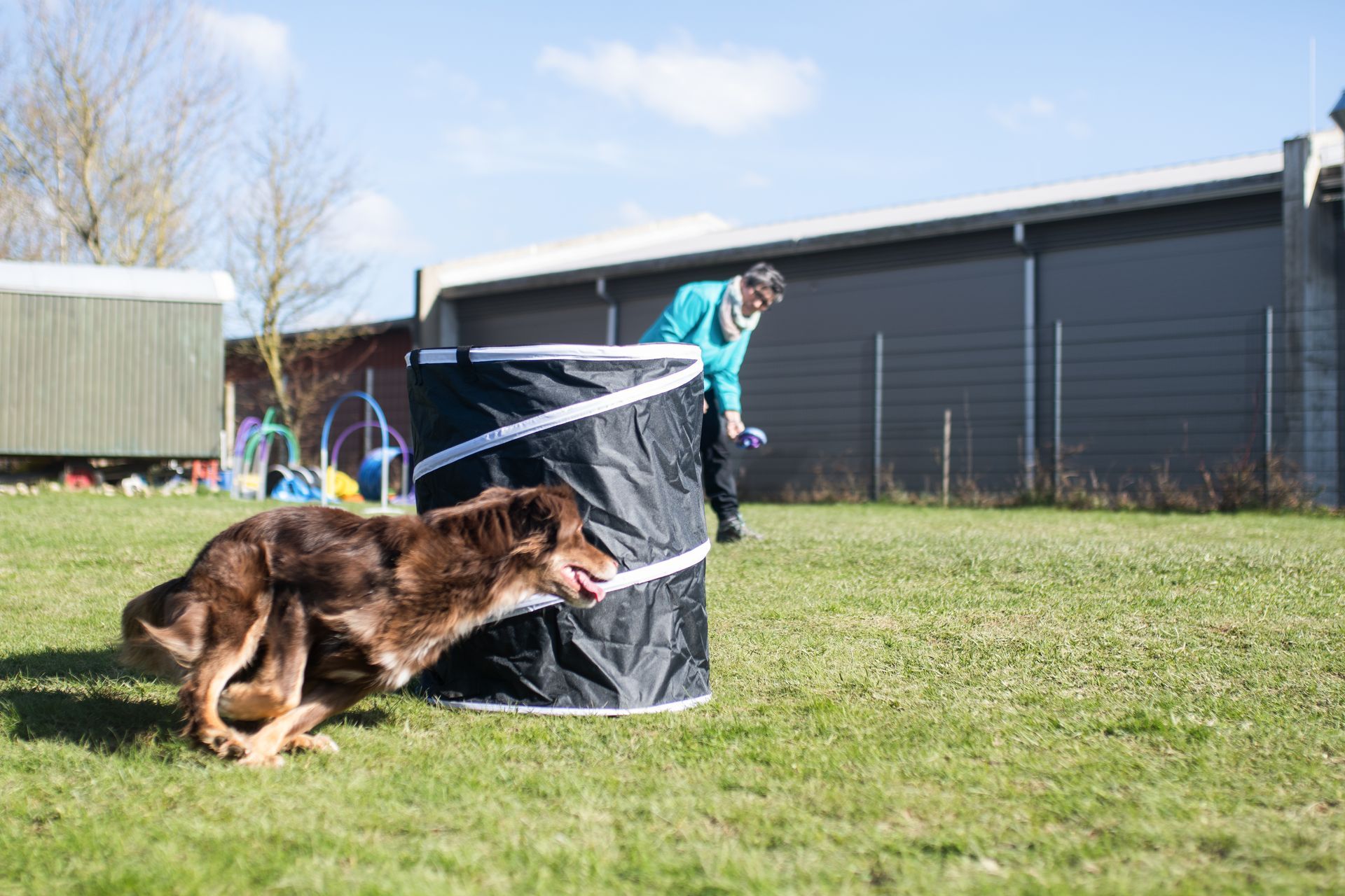 Hund rennt um Hoopers Tonne