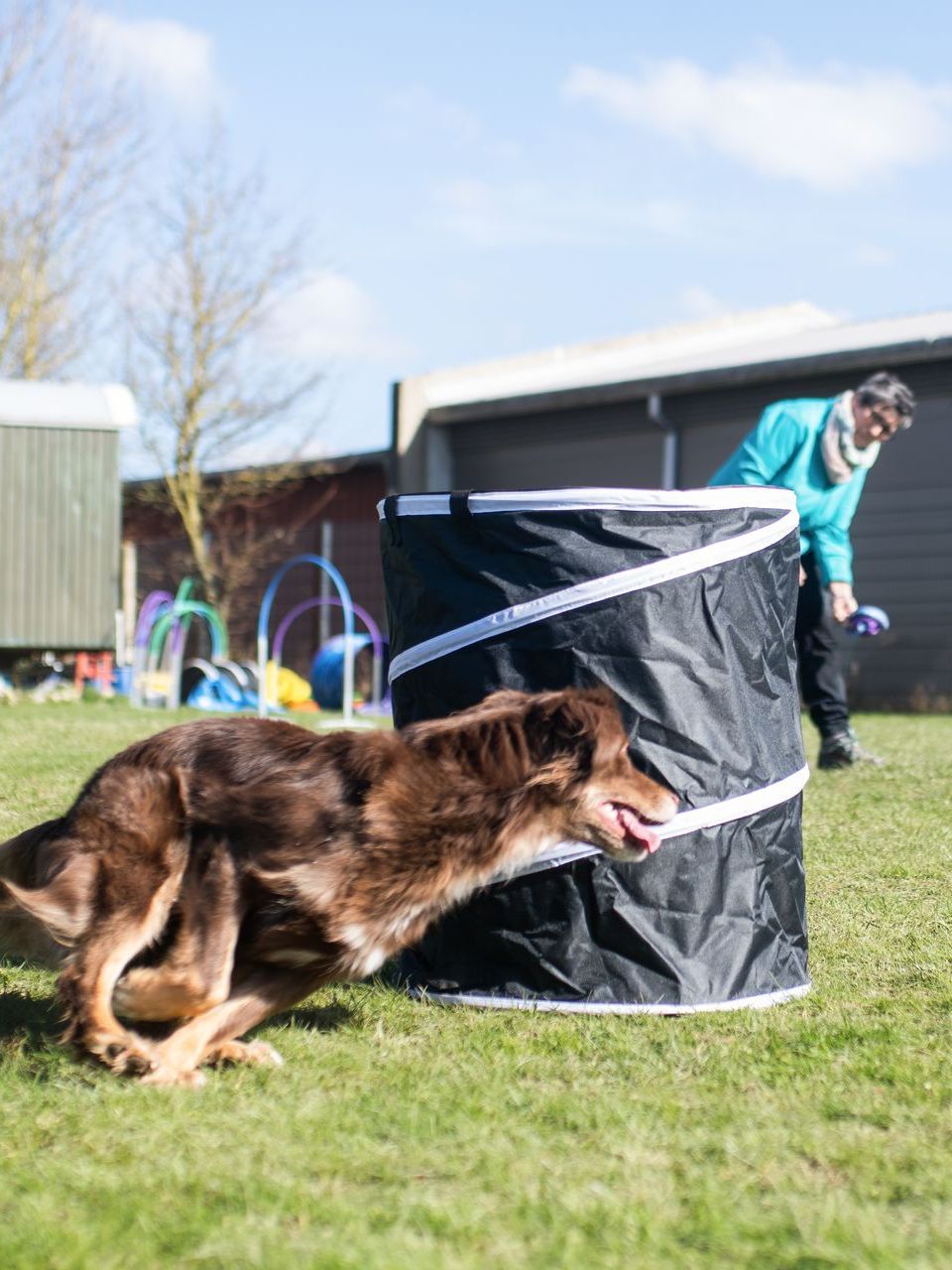 Hund rennt um Hoopers Tonne