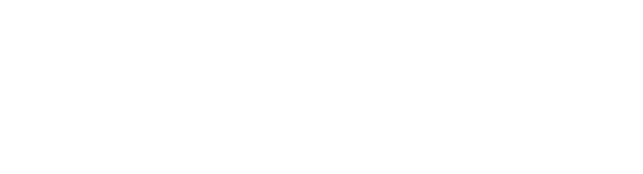 South East Florida Apartment Association logo