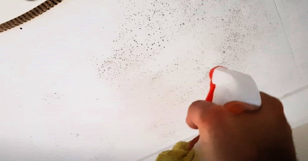 How to Remove Mold From Bathroom Ceilings: A Comprehensive Guide
