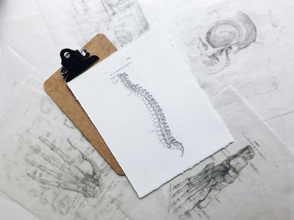 Clipboard with drawing of a spine, atop anatomical sketches on a textured surface.