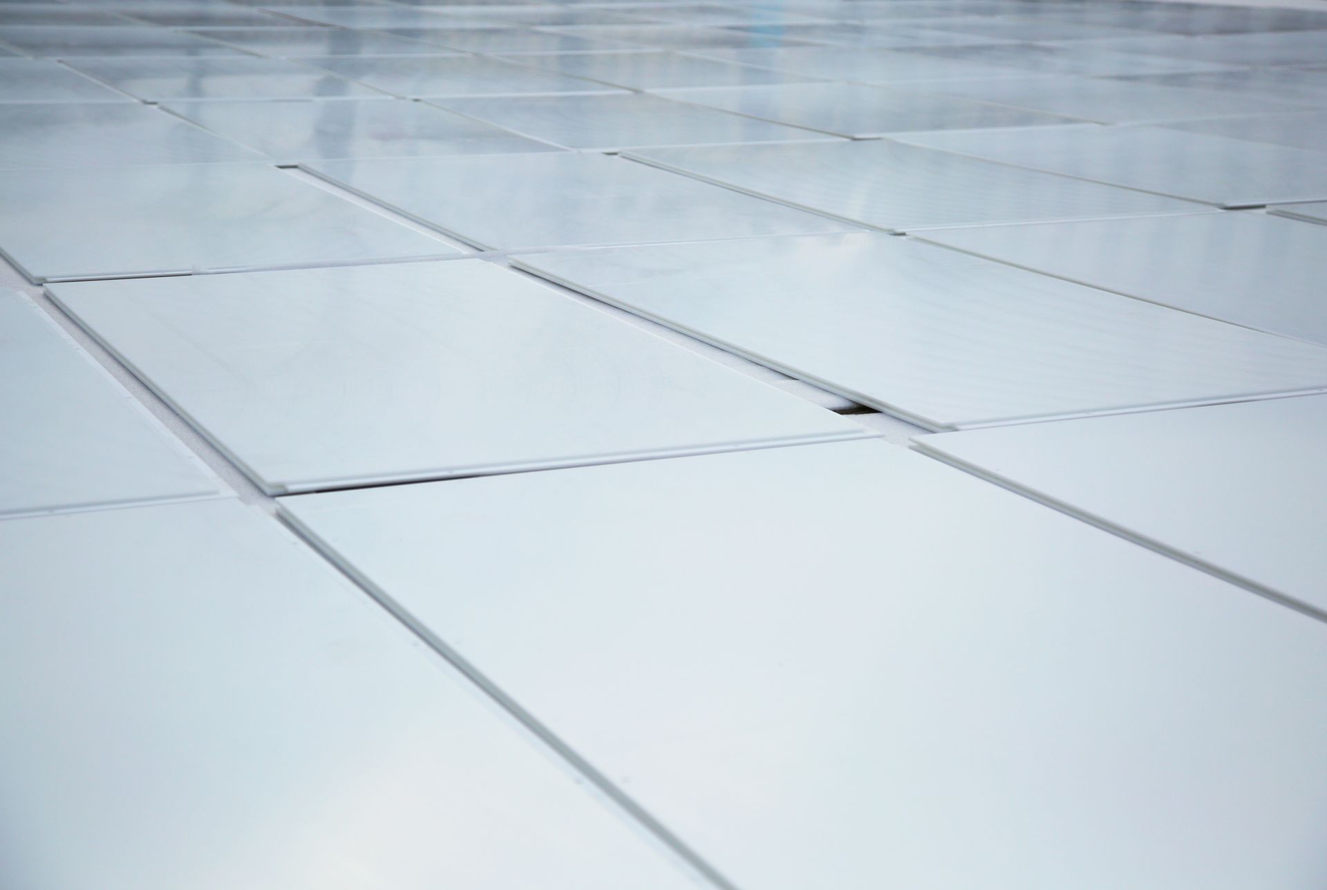 Plate Ice