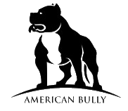 American Bully dogs