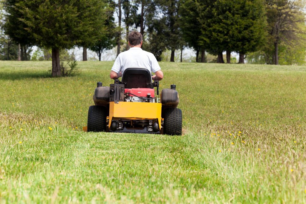 A man is riding a lawn mower through a grassy field. — Nabiac Mower & Tractor Repairs in Nabiac, NSW