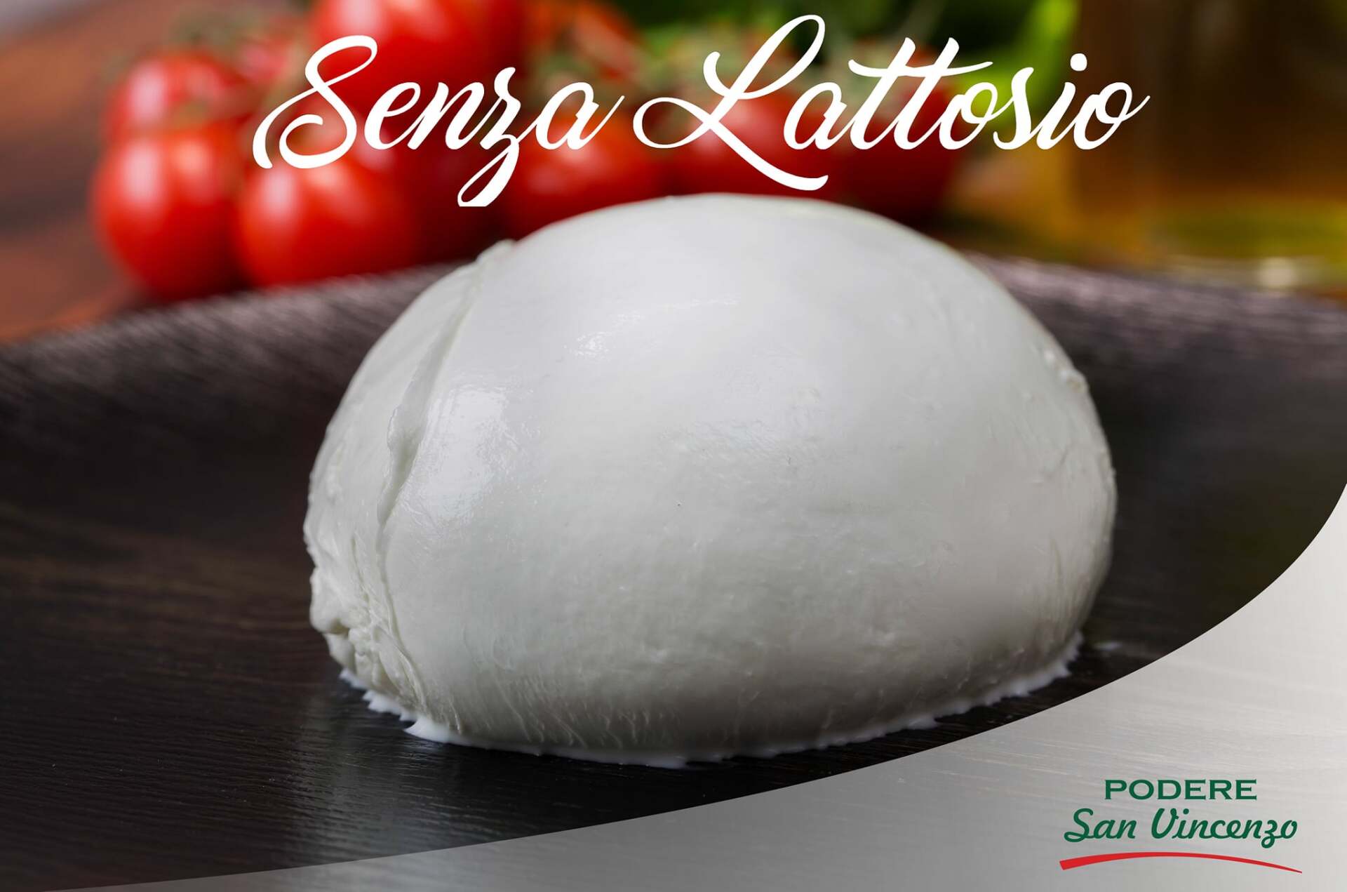 senza lattosio