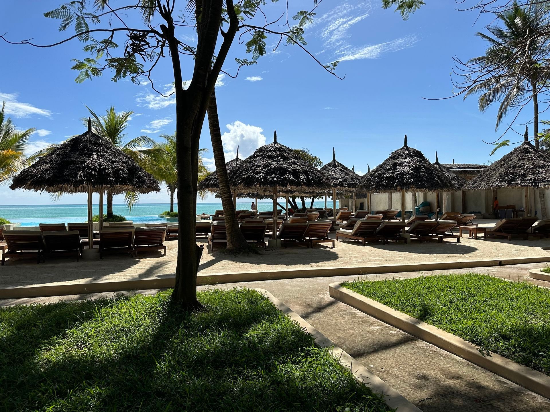 Beachfront resort with thatched umbrellas, lounge chairs, palm trees, and blue ocean under a clear sky