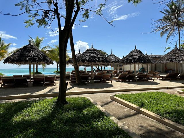 Beachfront resort with thatched umbrellas, lounge chairs, palm trees, and blue ocean under a clear sky