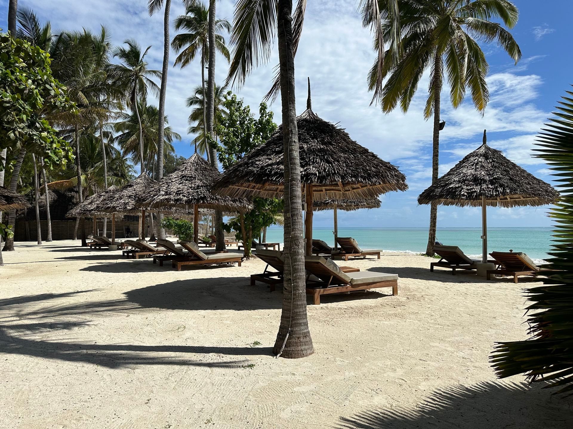 Tropical beach with palm trees, thatched umbrellas, and lounge chairs on white sand by turquoise water