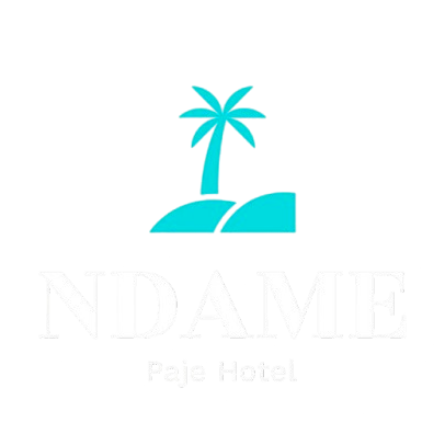 Turquoise palm tree logo above faded text reading “NDAME” and “Paje Hotel” on white background