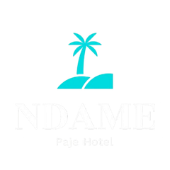 Turquoise palm tree logo above faded text reading “NDAME” and “Paje Hotel” on white background