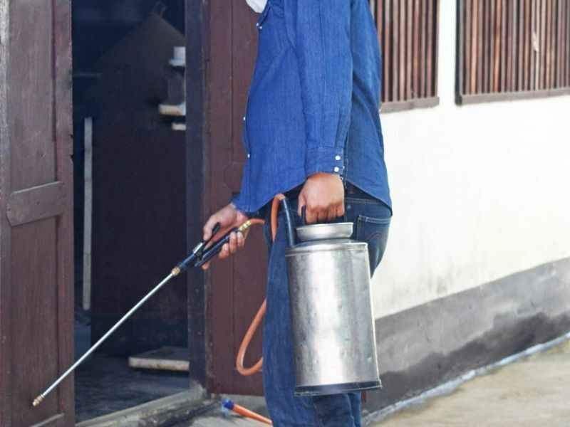 Cockroach insecticide spray services Toowoomba