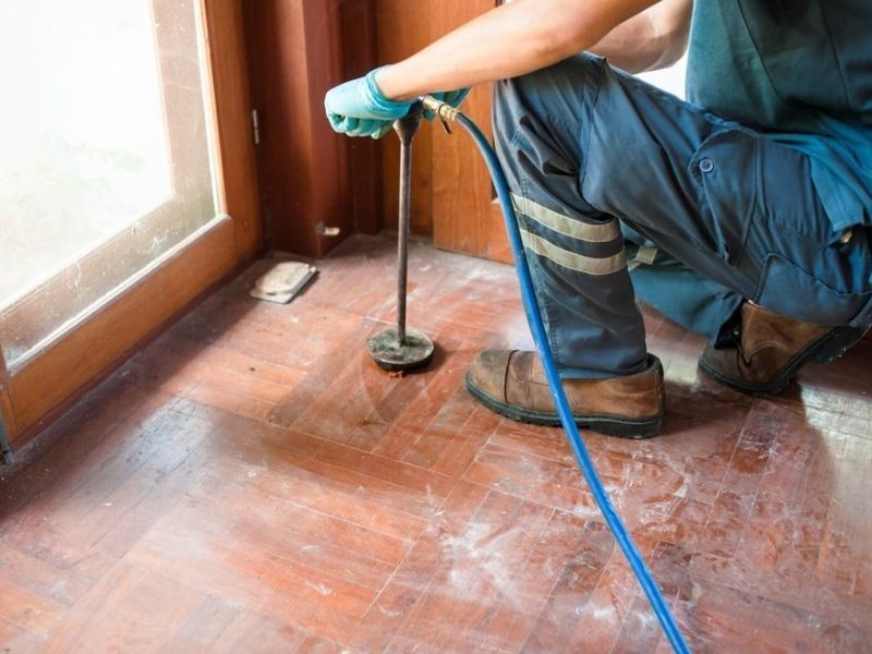 Cockroach insecticidal dust services Toowoomba