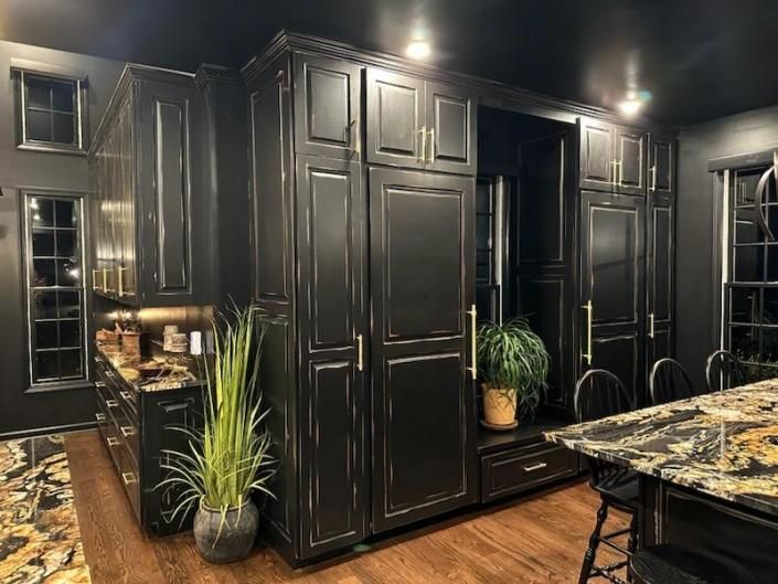 Dark kitchen with black cabinets, granite island, and potted plants under bright ceiling lights.