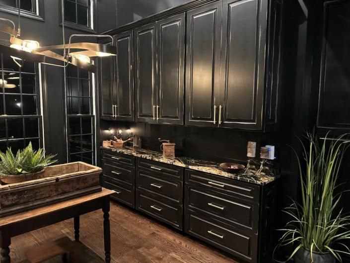Elegant dark kitchen with black cabinets, granite counters, and potted plants on the floor and table.