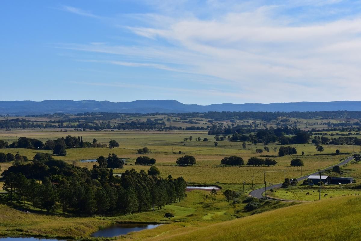 A View Of A Lush Green Field With A Lake And Mountains In The Background — The Woolmen In Casino, NSW