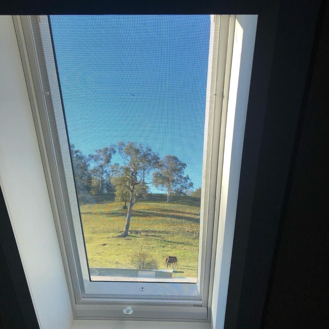 A View Of A Field Through A Skylight Window — The Woolmen In Byron Bay, NSW