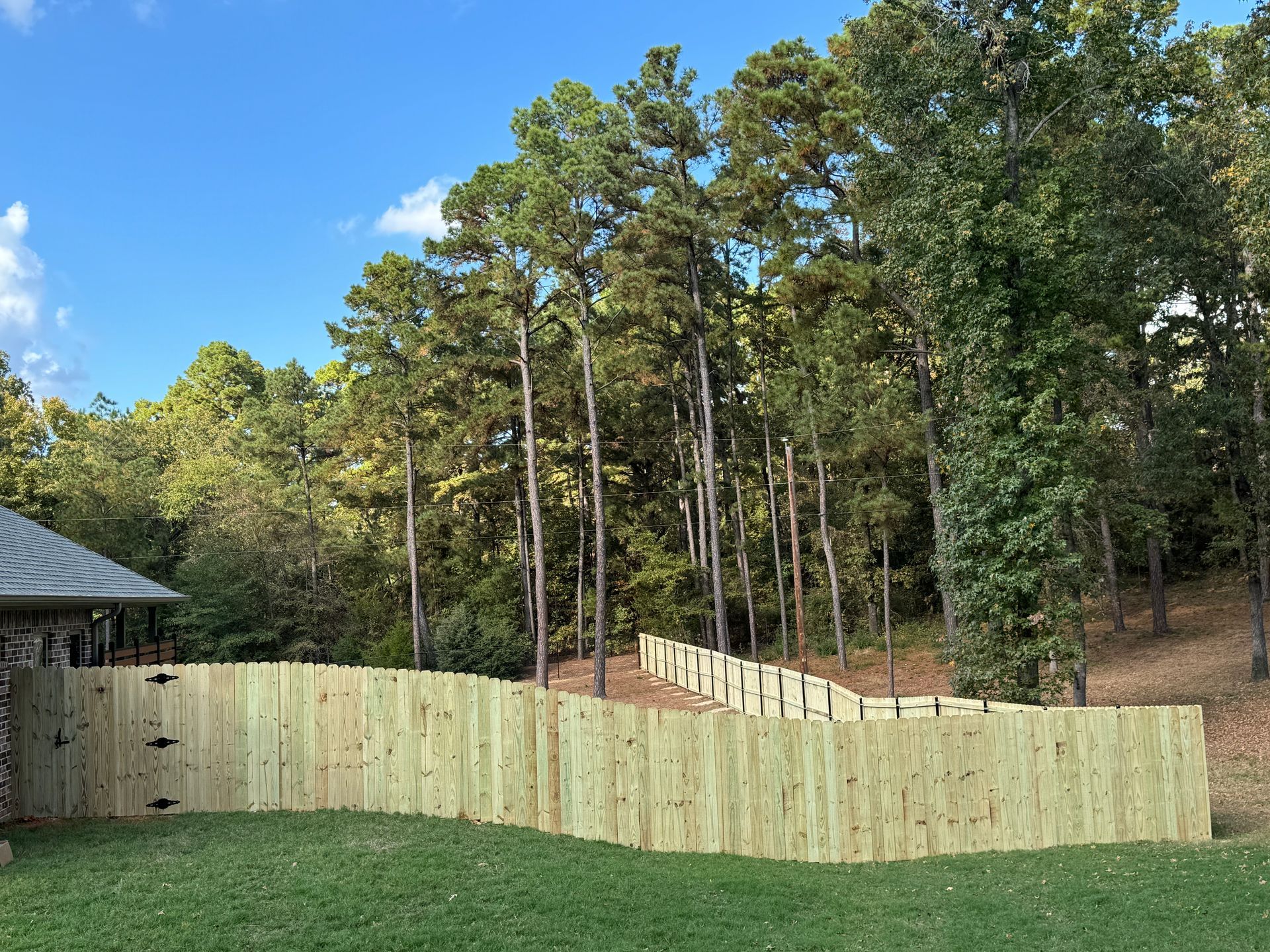 Wooden fence around a yard with tall trees and blue sky in the background