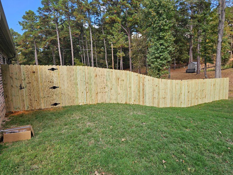Curved wooden fence in a grassy backyard with tall pine trees beyond