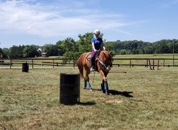 Mill Creek Equestrian LLC Ashland, VA
