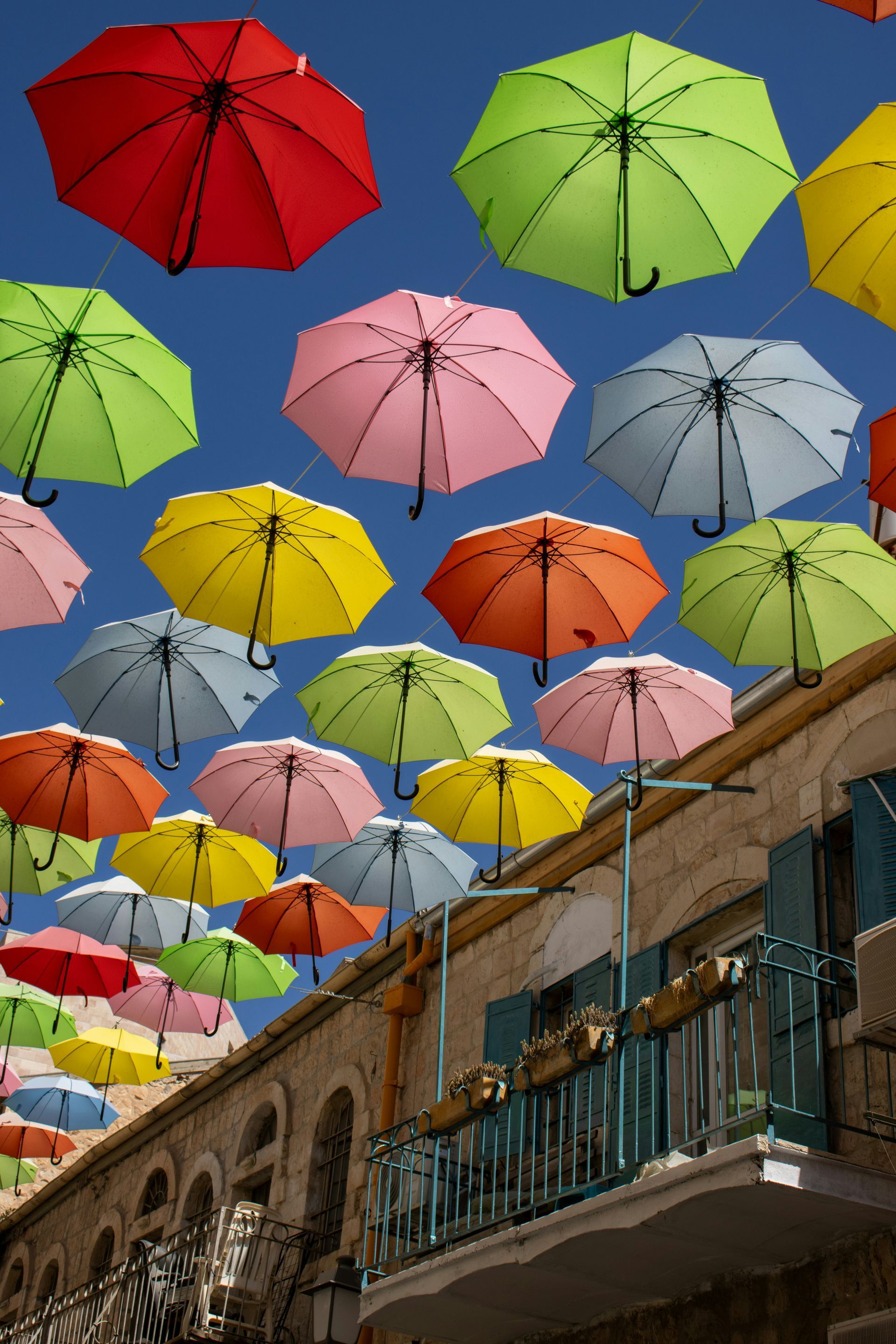 A bunch of colorful umbrellas are hanging from the ceiling