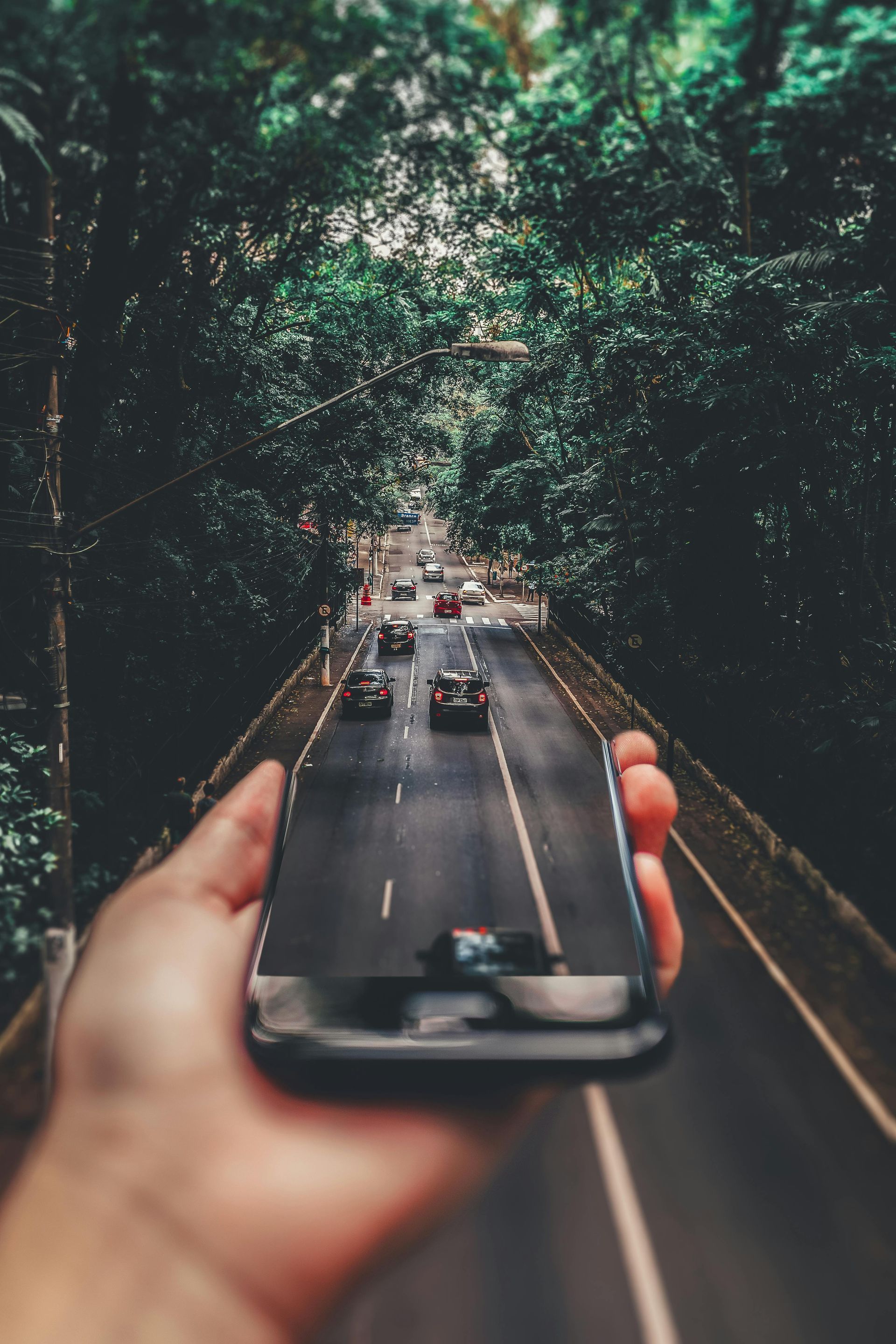 A person is holding a cell phone with a picture of a highway on it.