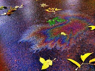 Rainbow oil sheen on pavement with yellow leaves scattered across it