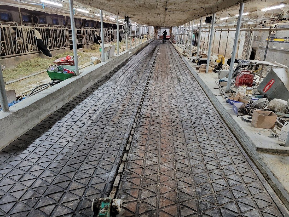 Long view down a dairy barn aisle with cows visible. A person is at the end of the aisle.