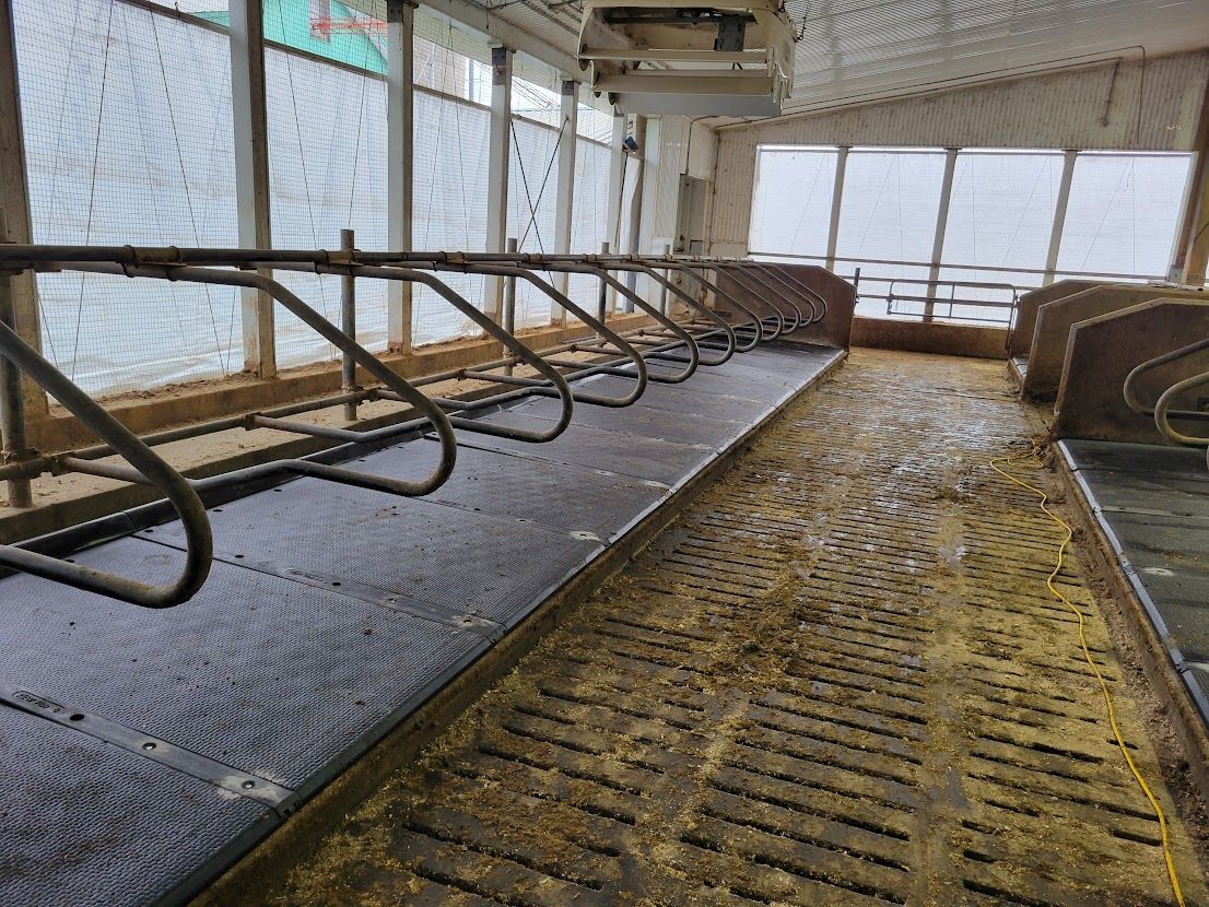 Interior of a barn with stalls. Dark, textured flooring with metal dividers, and sunlight through the windows.