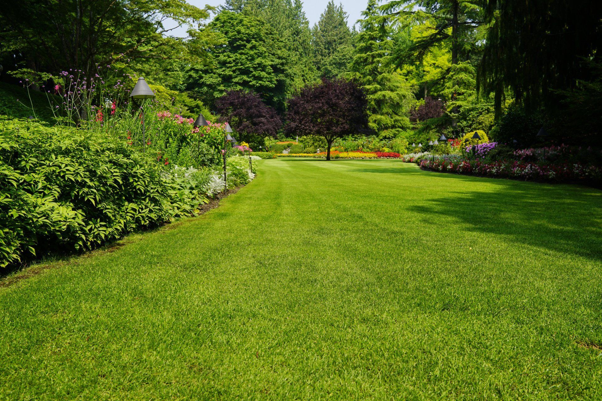 Beautiful Garden