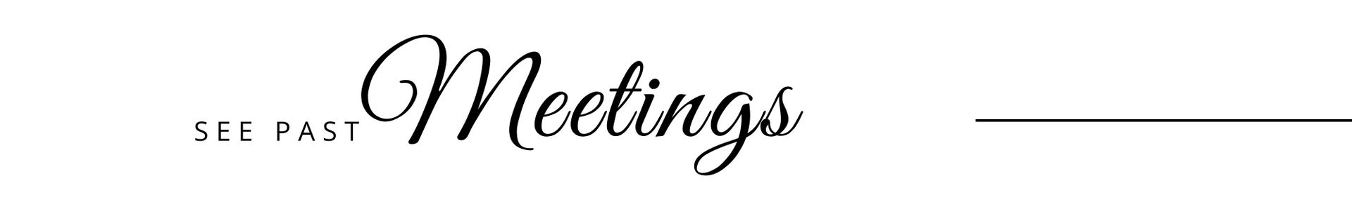 See Past Meetings logo with black script text and a thin horizontal line on a white background