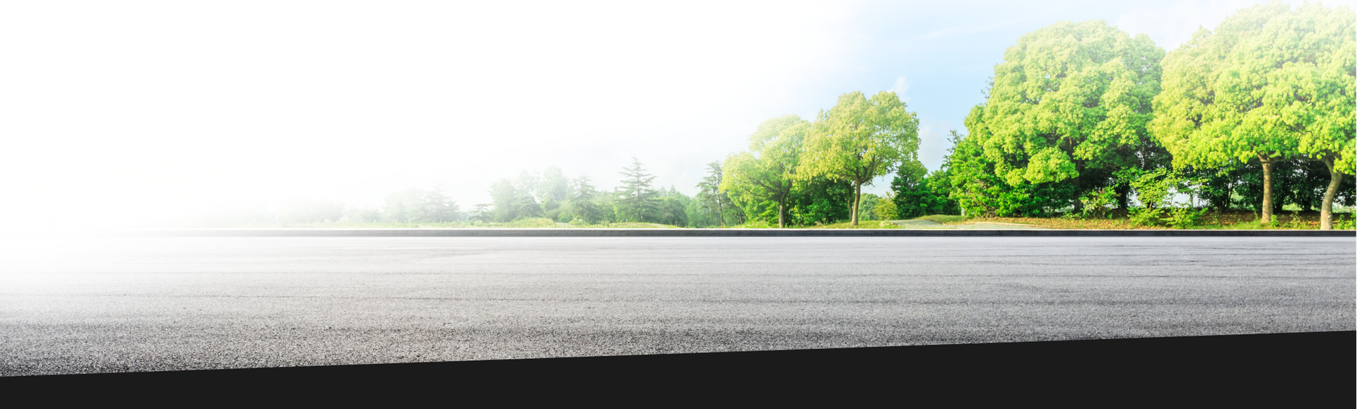 Asphalt road with trees on a sunny day. | Pro Tire & Automotive Center