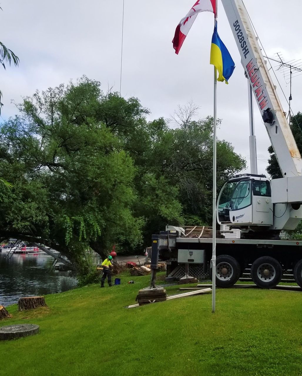 The importance of expert tree service