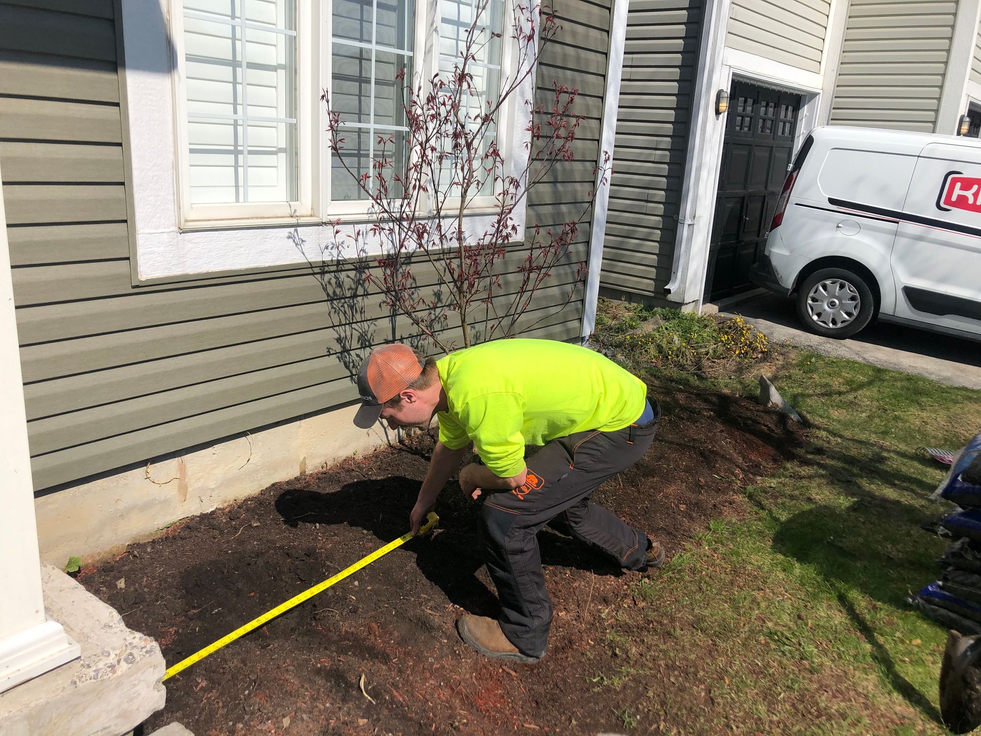 Gallery | Arborcor Tree Care