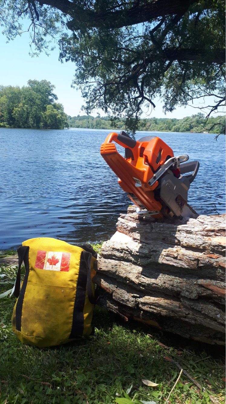 Gallery | Arborcor Tree Care