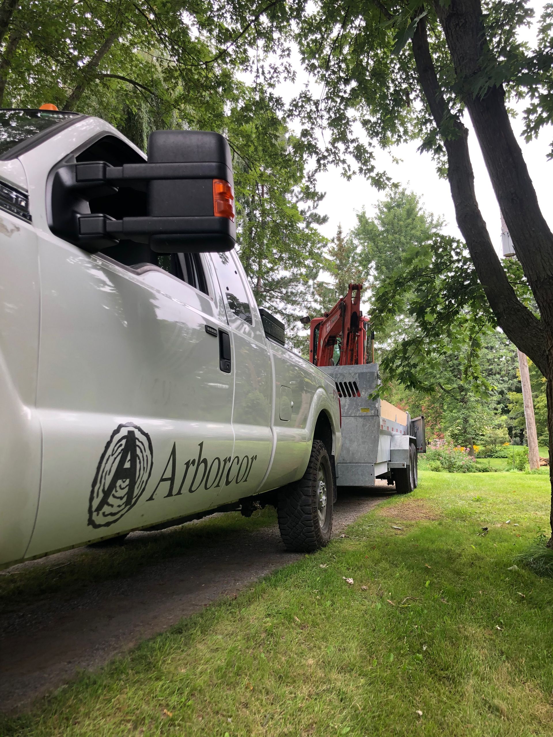 Gallery | Arborcor Tree Care