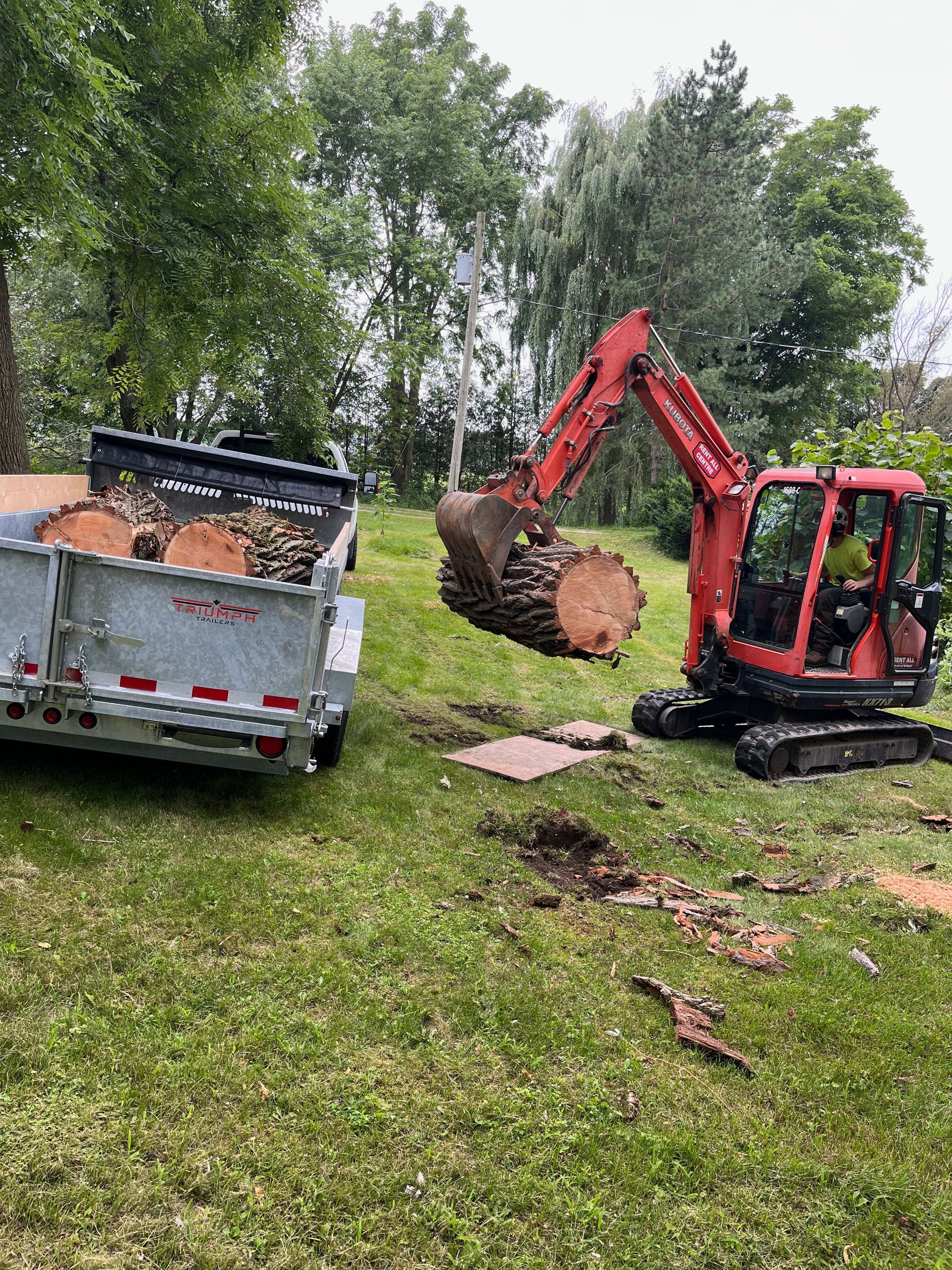 The importance of stump removal