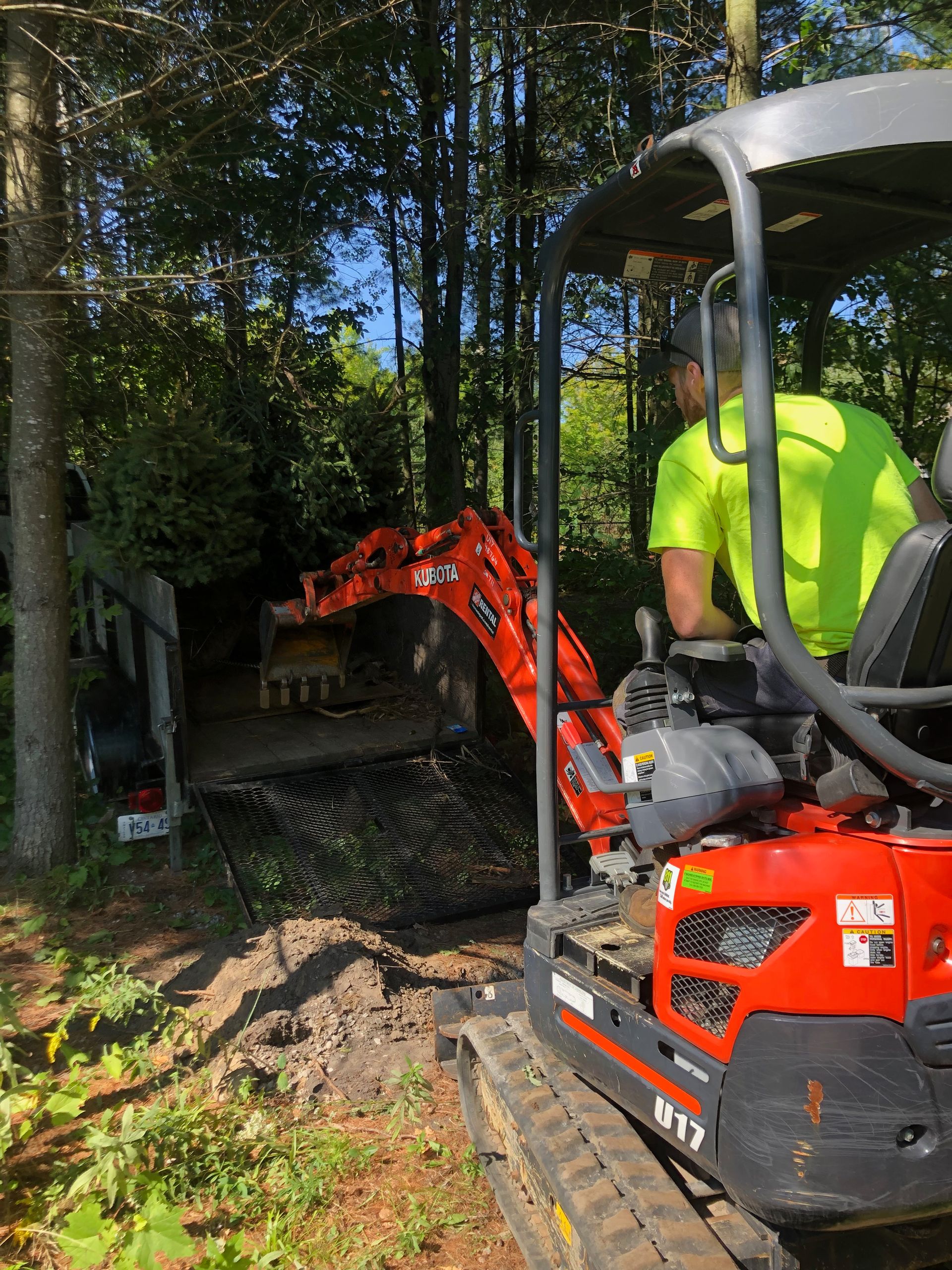 Tree Services With Arborcor