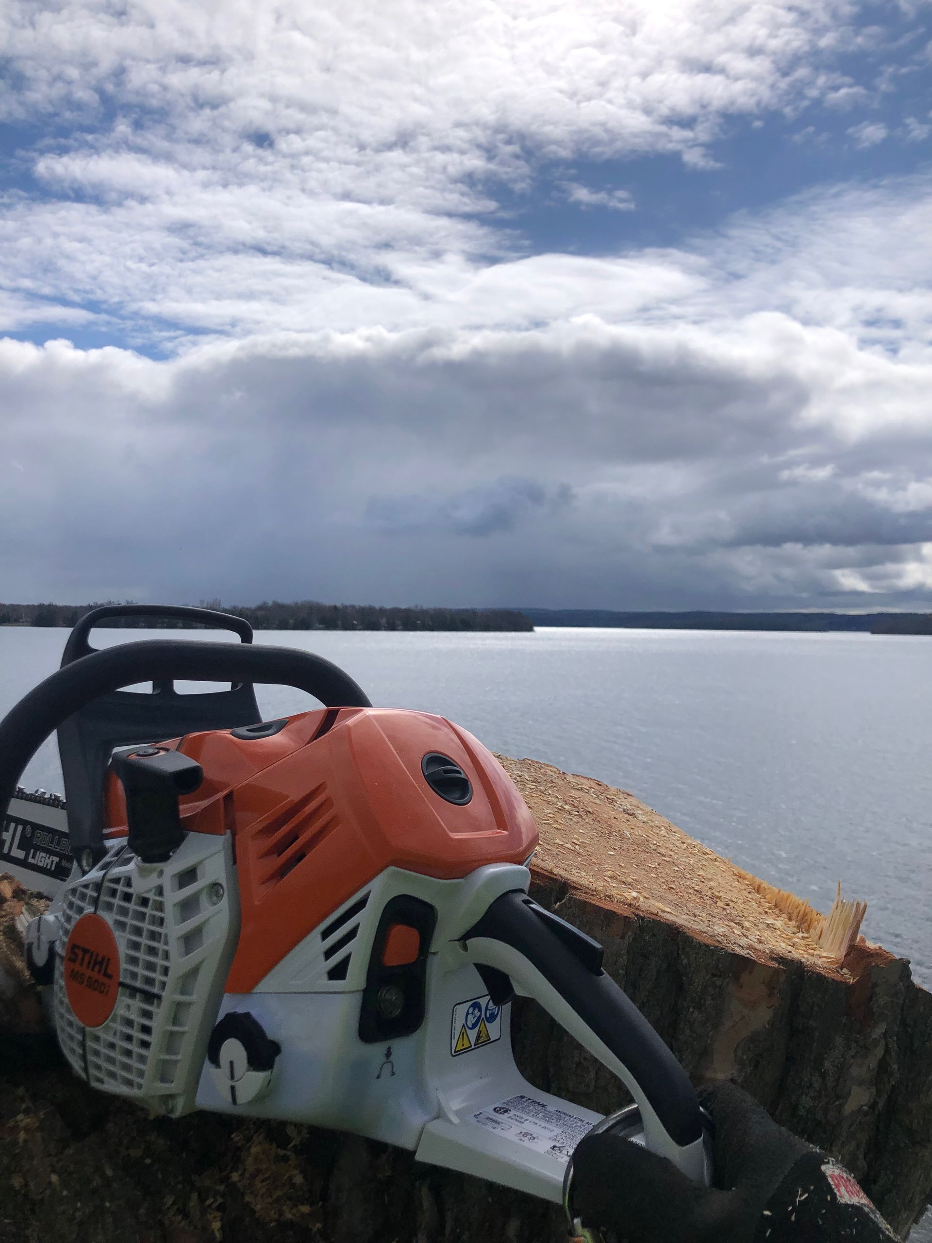 tree service company Kawartha Lakes