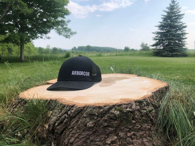 Arborcor Tree Care's Company