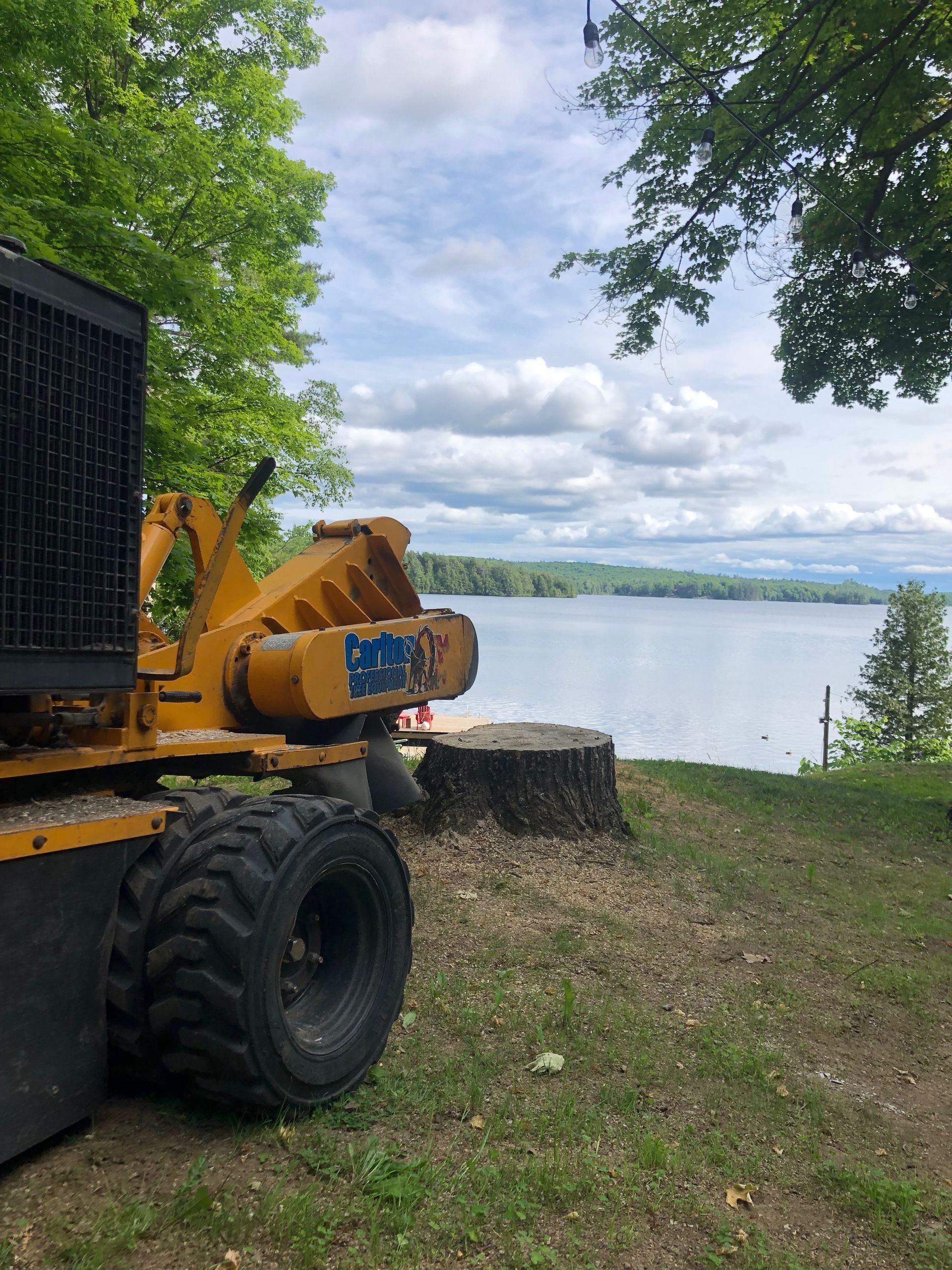 Choose Arborcor for your stump removal jobs