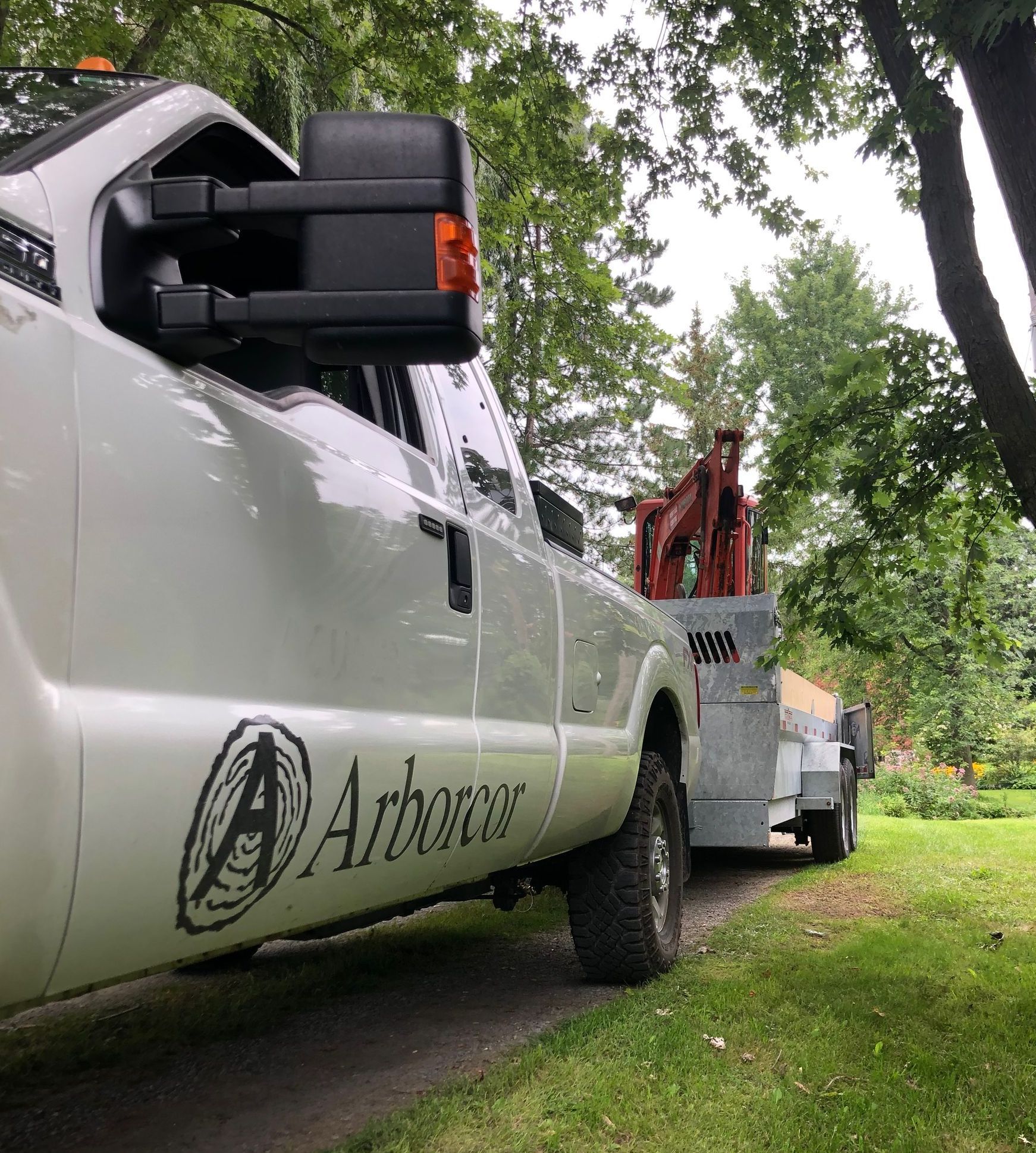 Arborcor tree care