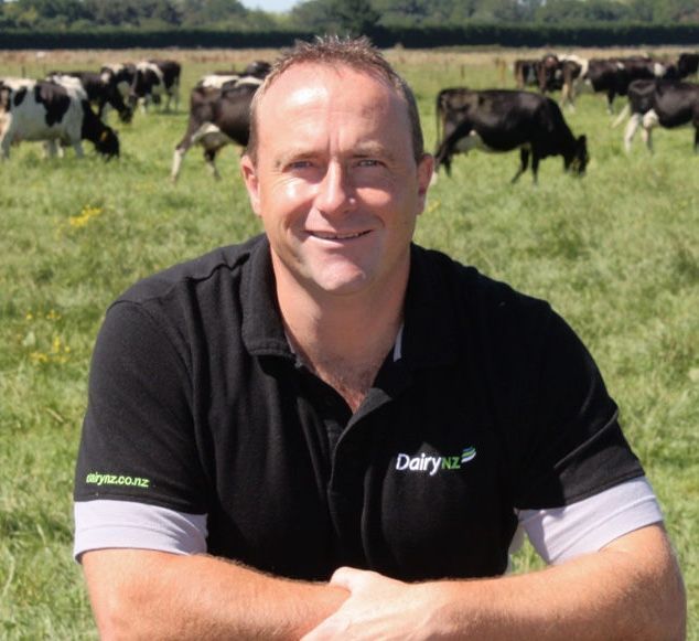 Man in a DairyNZ shirt smiles in a green field with black and white cows grazing in the background.