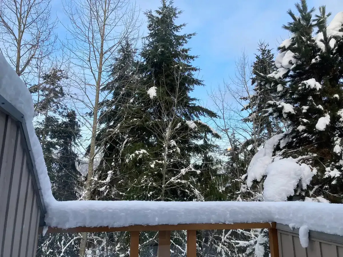A snow covered deck with trees in the background