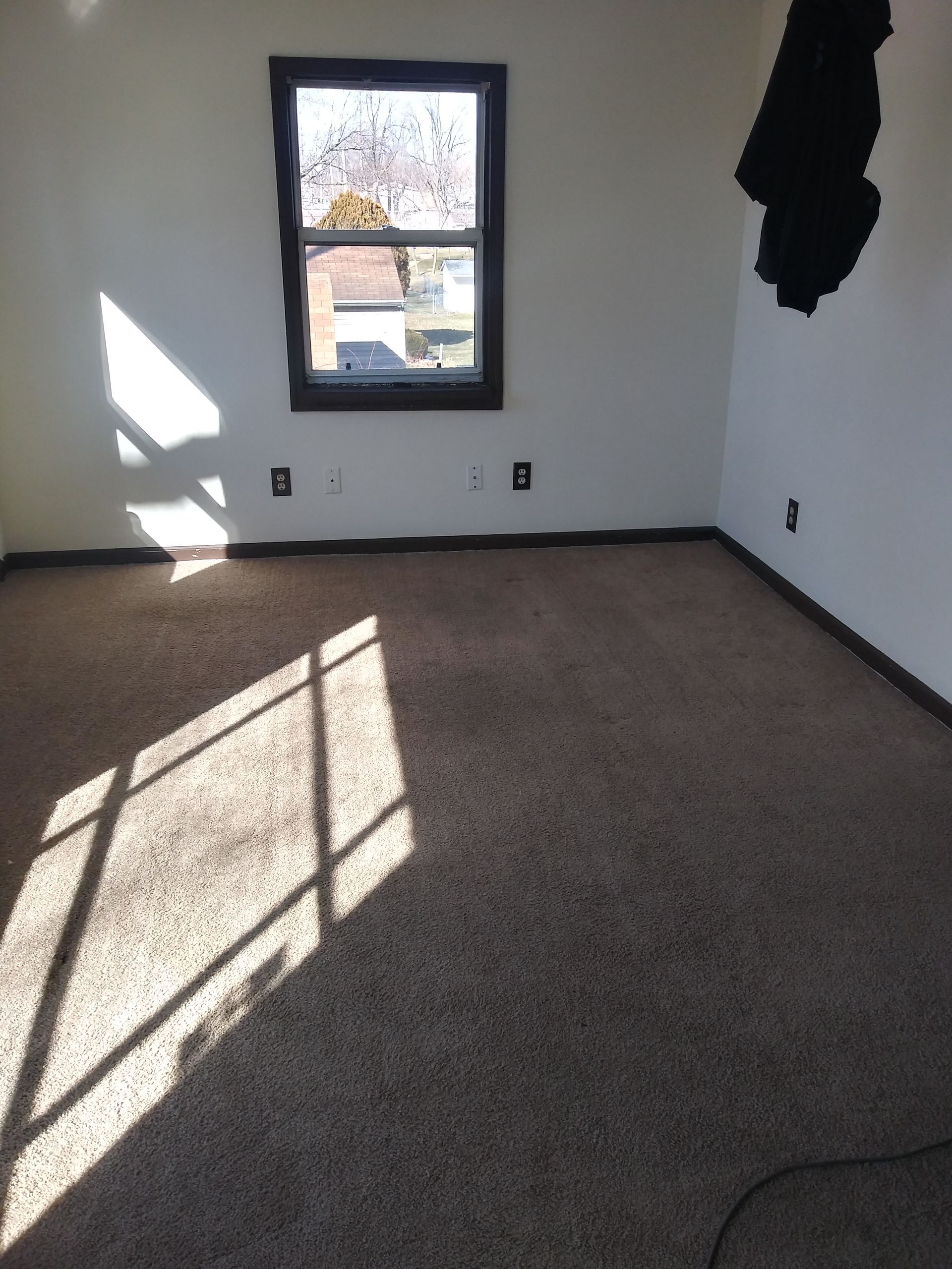 carpet cleaning