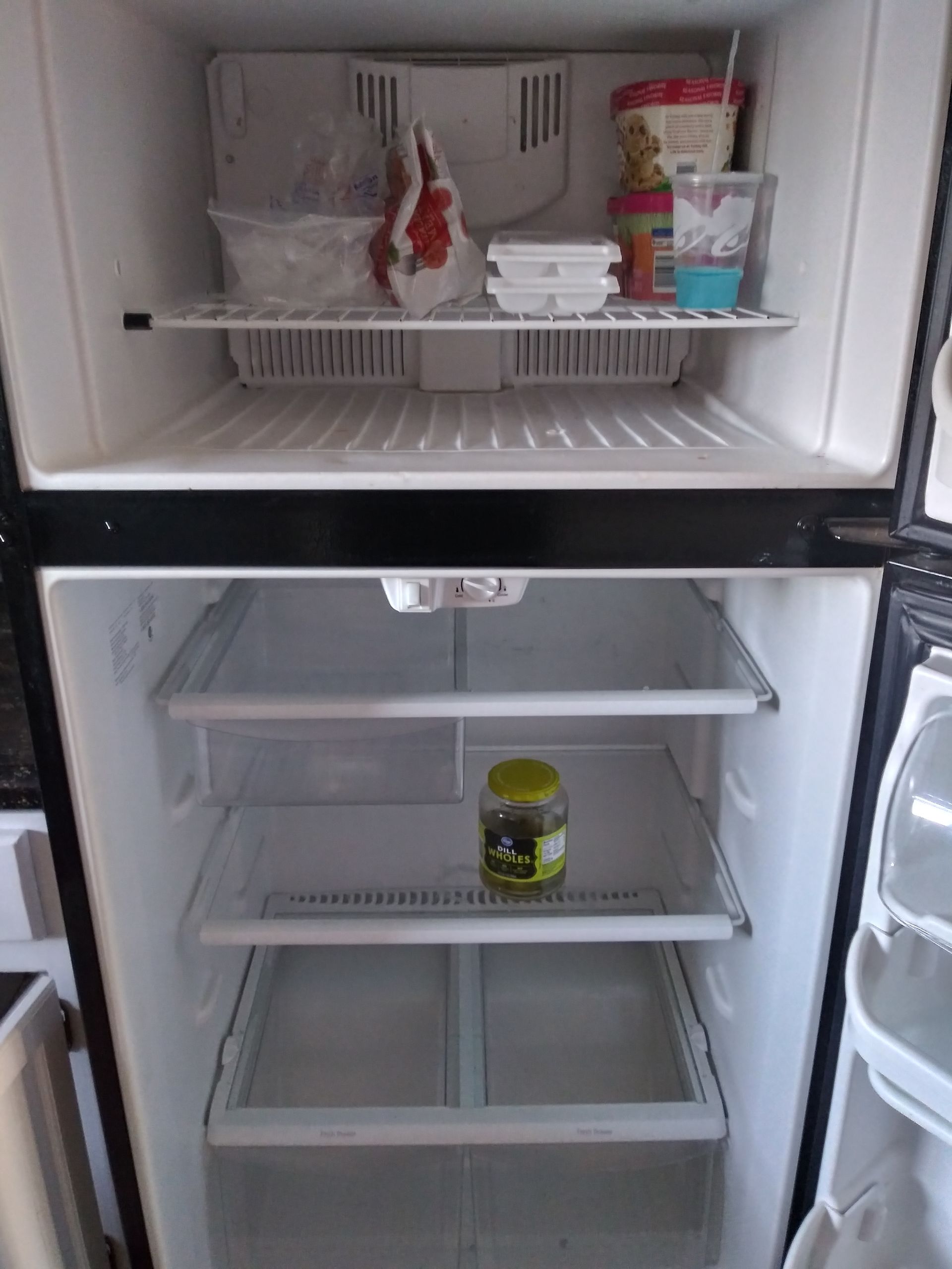 freezer cleaning